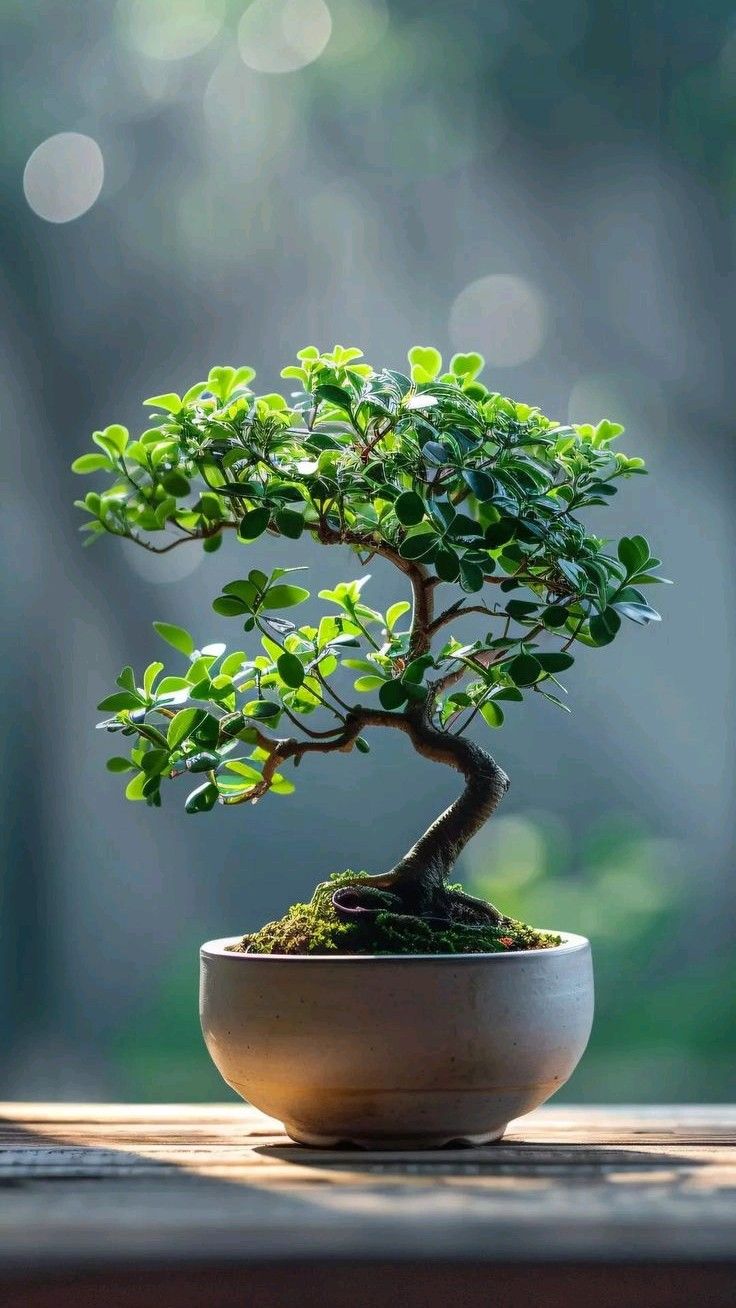 Horizon Botanical Sculpture No. 5