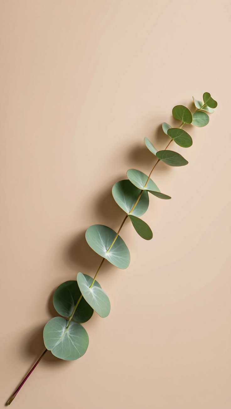 Bloom Floral Arrangement No. 2